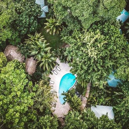 Copal Tree Lodge A Muy'Ono Resort Toledo District Екстер'єр фото