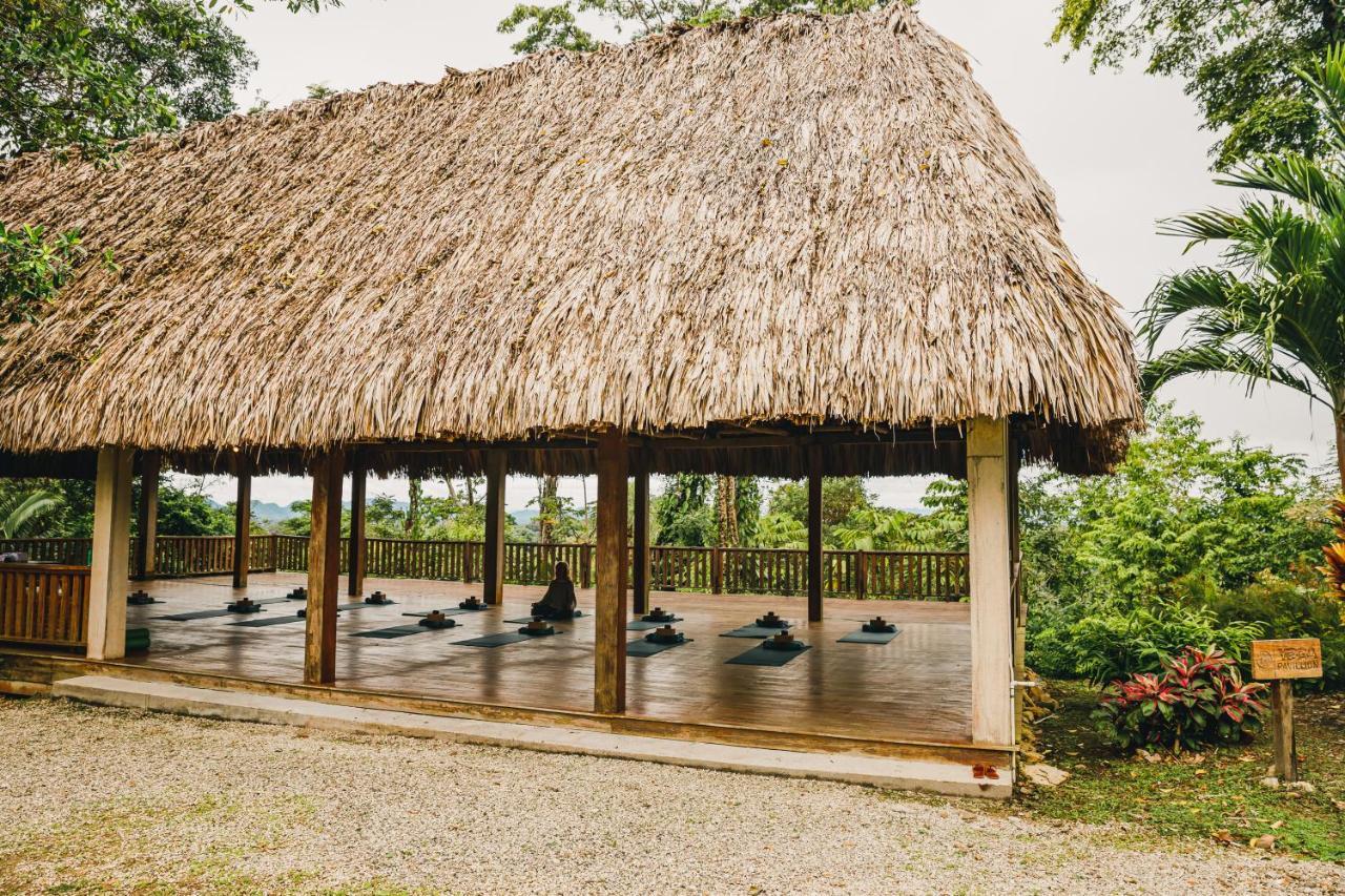 Copal Tree Lodge A Muy'Ono Resort Toledo District Екстер'єр фото