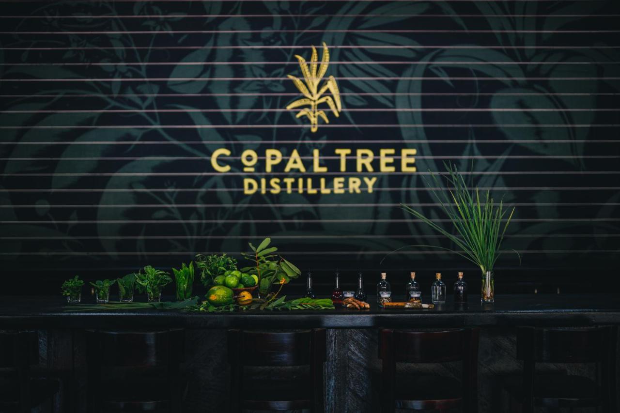 Copal Tree Lodge A Muy'Ono Resort Toledo District Екстер'єр фото