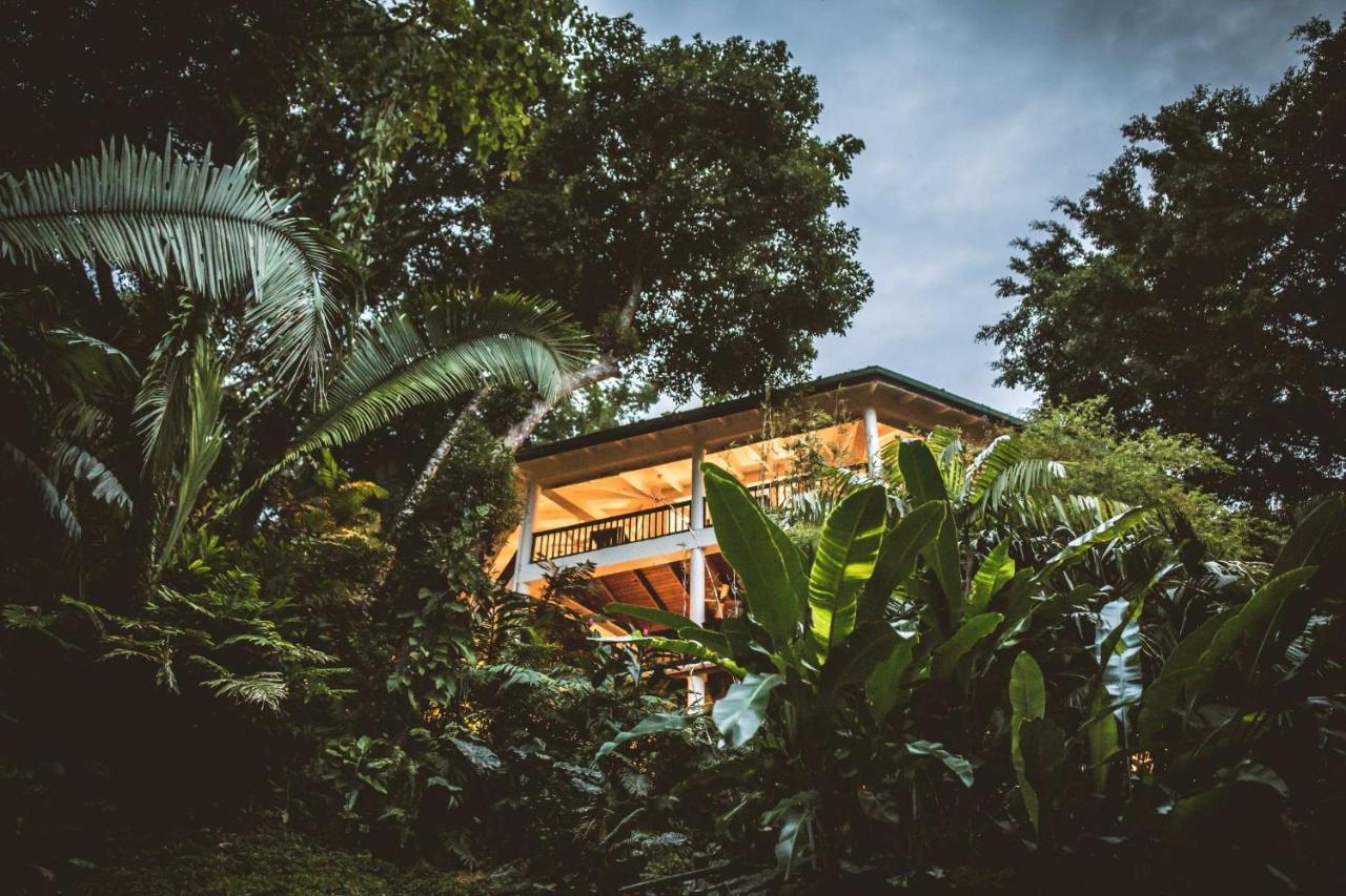 Copal Tree Lodge A Muy'Ono Resort Toledo District Екстер'єр фото